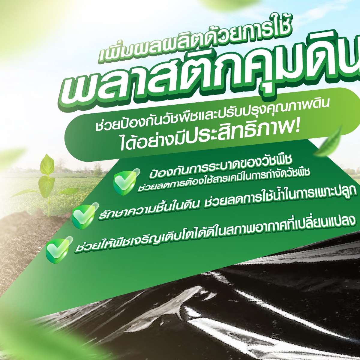 พลาสติกคลุมดิน ​1