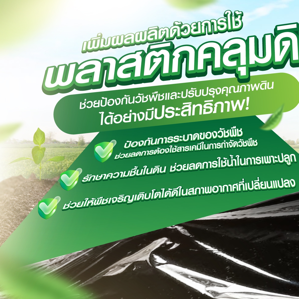 พลาสติกคลุมดิน ​1